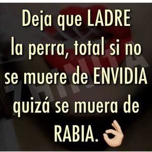 Meet your Posher, Javier